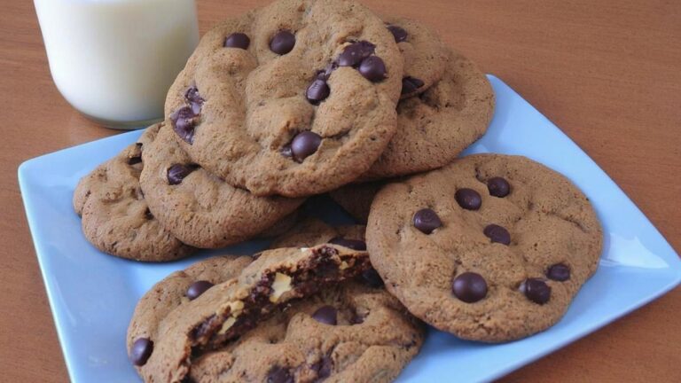 Cookies diet de aveia e chocolate